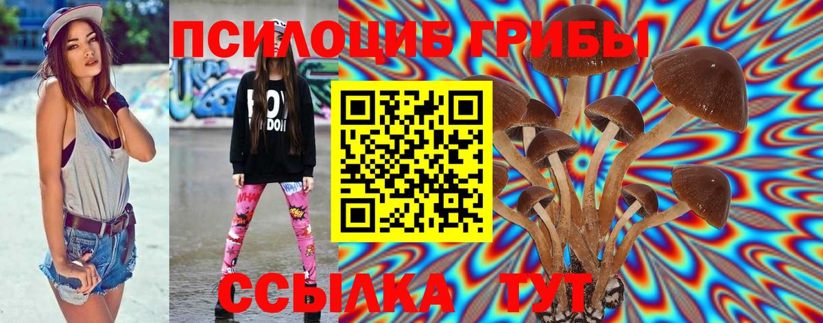 Псилоцибиновые грибы Psilocybine cubensis  Вход с VPN  Александров 