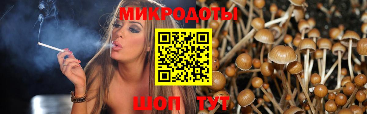 Галлюциногенные грибы Psilocybe Александров