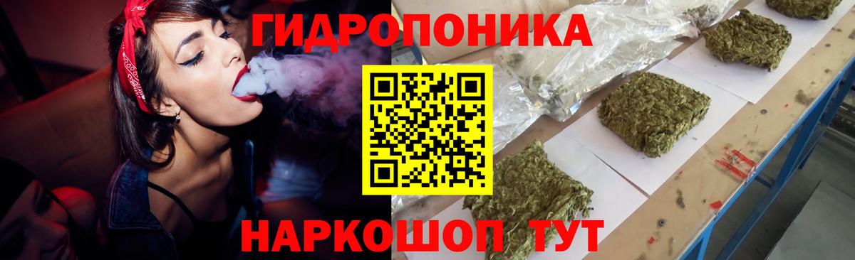 Конопля Amnesia  Конопля White Widow  Бошки марихуана семена  Александров  Вход с VPN 